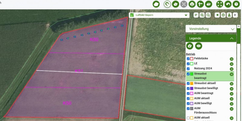 K50 und K51 Streifen mit K78 Streuobst auf ehemals ÖR1B-Fläche.JPG