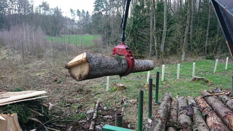 1 Vorstellung 10.jpg