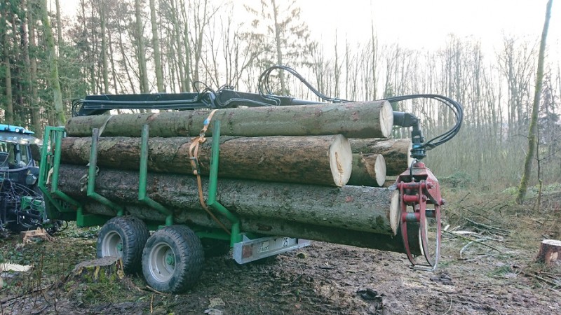 1 Vorstellung 11.jpg