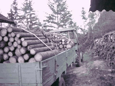 Von rechts 25.04.06.JPG