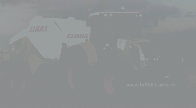 IMG_7295_axion fp.jpg