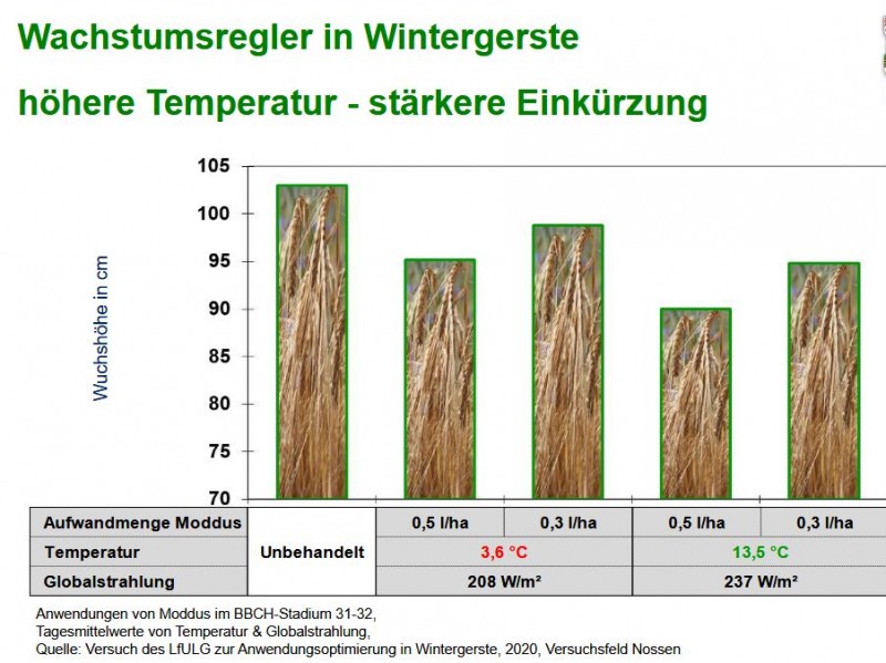 Wachstumsregler Wintergerste.JPG