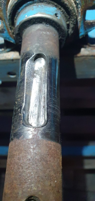 WhatsApp Image 2025-05-12 at 21.31.016.jpeg