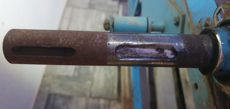 WhatsApp Image 2025-05-12 at 21.31.046.jpeg