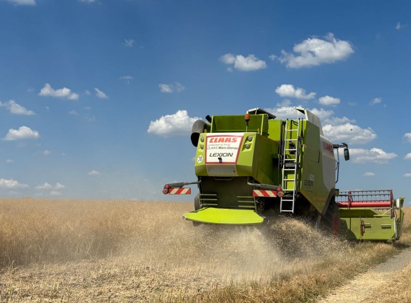 Rapsdrusch Mähdrescher Wini 1.7.25.JPG