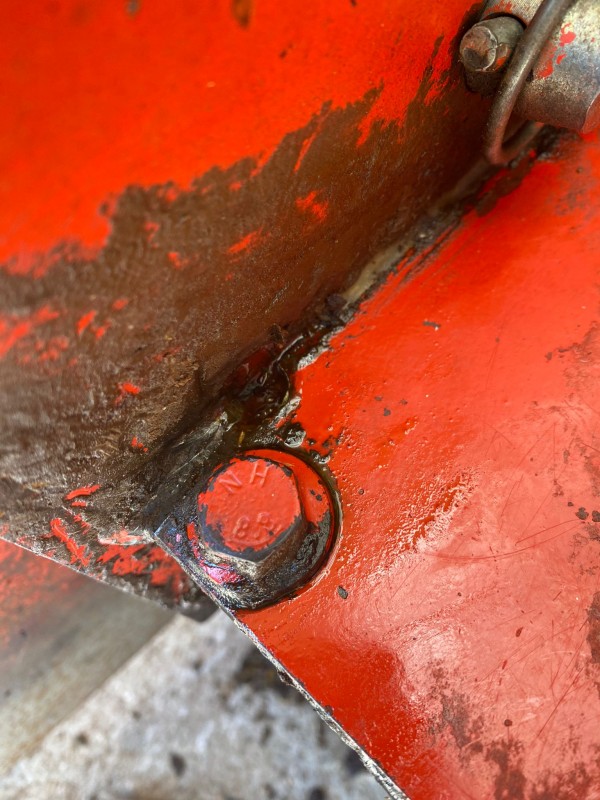 WhatsApp Image 2025-07-19 at 17.43.20.jpeg