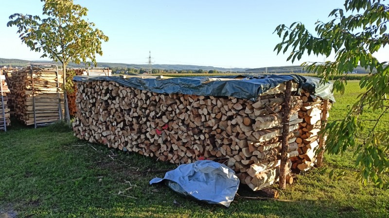 Holz.jpg
