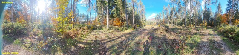 Schwanzer_20251101_113303.jpg