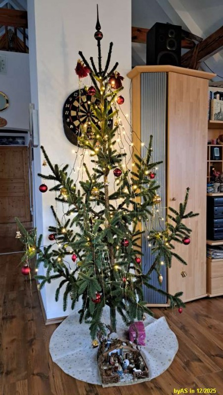 Christbaum_zuhause_20251225_112411.jpg