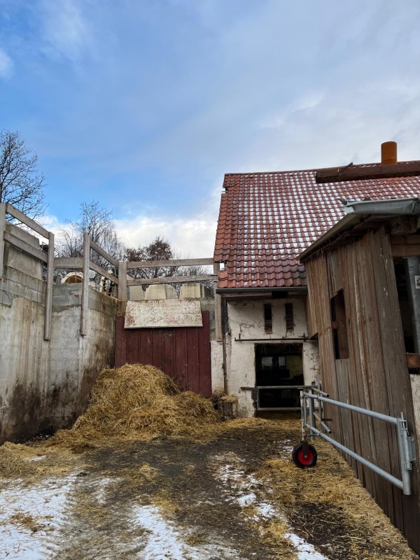 IMG_6835_compressed_0_5MB 2.jpg