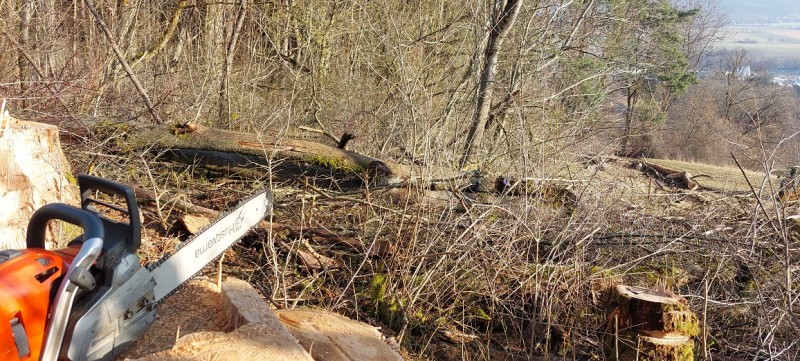 20260228_084532 kleiner.jpg