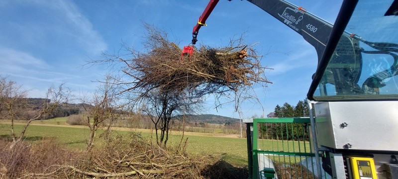 20260228_132934 kleiner.jpg