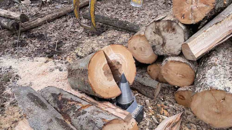 1m Buche gespalten KS.jpg