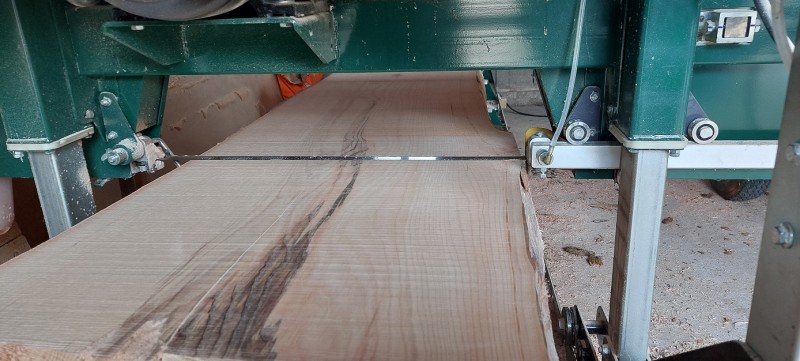 20260320_153749 kleiner.jpg