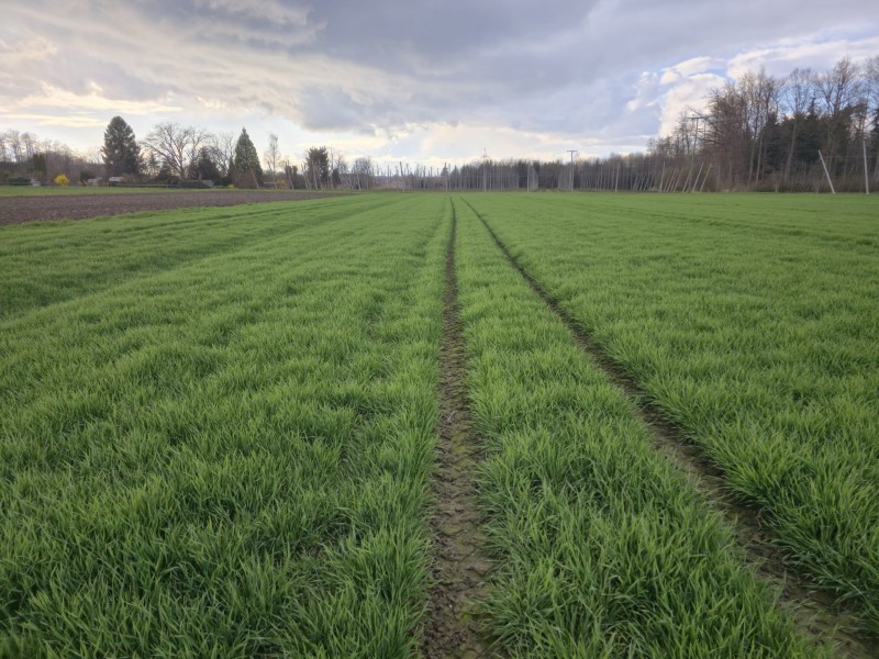 WhatsApp Image 2026-03-26 at 16.54.19.jpeg