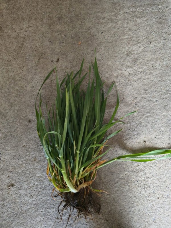 WhatsApp Image 2026-03-26 at 17.00.21.jpg