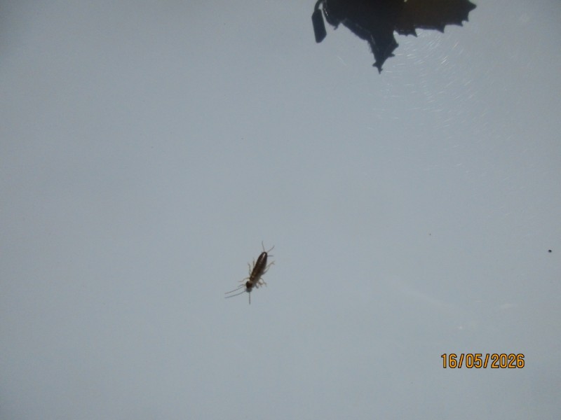 IMG_3720.JPG