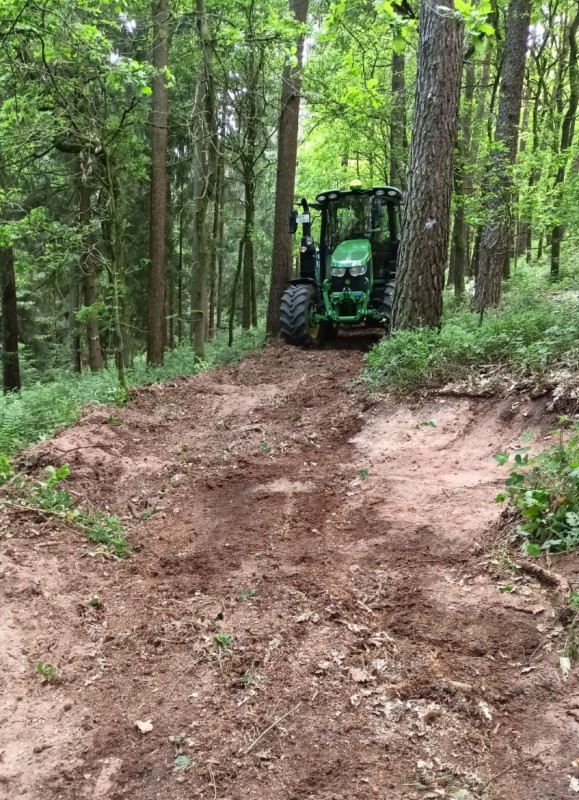 Waldbau_2_1_1.jpg