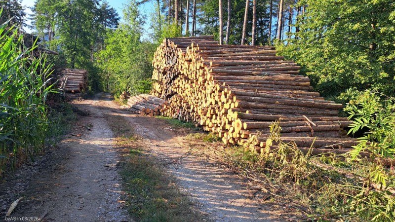 LH_20260804_181450.jpg