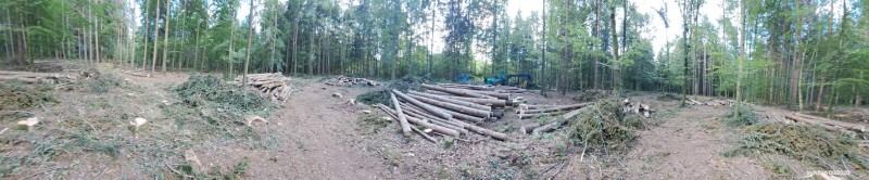 Harv_Pano_20260805_175359.jpg