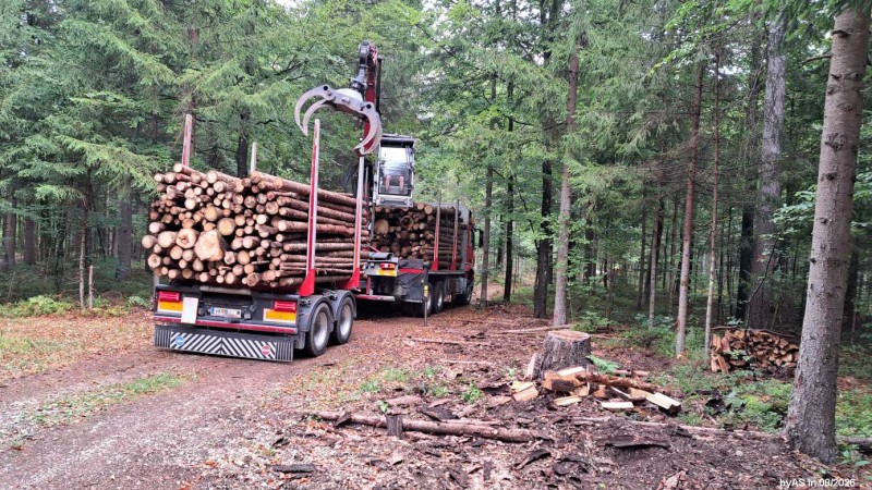 LKW_4_20260818_092037.jpg