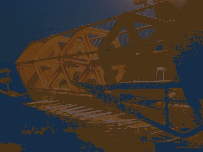 CIMG1434 (Large).JPG