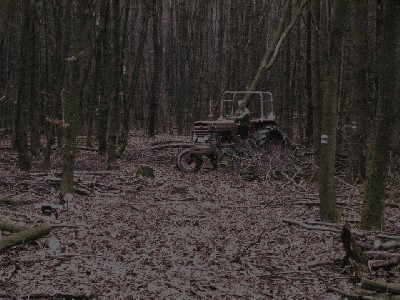 061230-Holzmachen (1) Große Webansicht.jpg