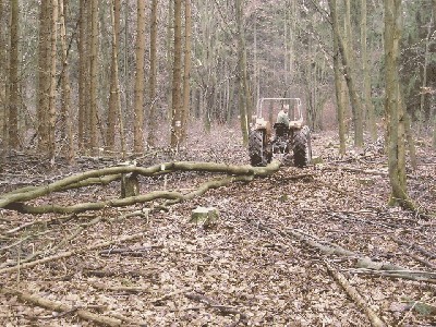 061230-Holzmachen (3) Große Webansicht.jpg