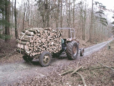 061230-Holzmachen (4) Große Webansicht.jpg