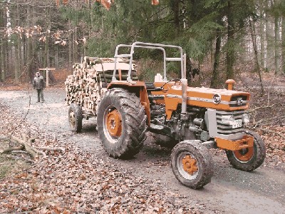 061230-Holzmachen (5) Große Webansicht.jpg