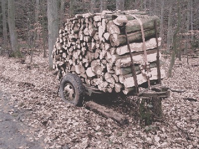 070113-Holzmachen (13) Große Webansicht.jpg