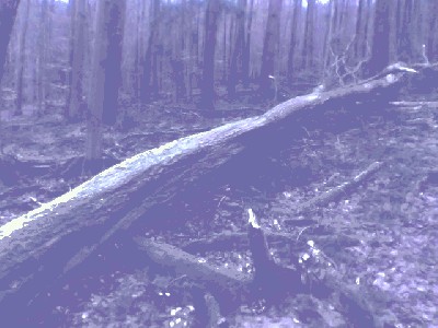 Bild029.jpg