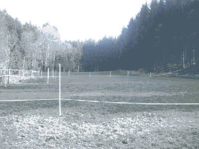 Gewerbeschein 022.jpg