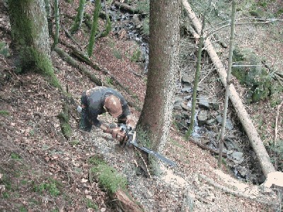Ich beim holz arbeiten.jpg