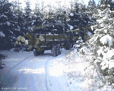 Rueckewagen-204.jpg