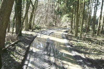 100_3270.jpg
