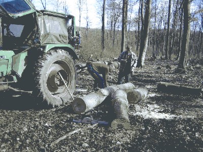 Holz machen 10.3.07 - 3.jpg