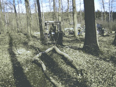 Holz machen 10.3.07 - 6.jpg