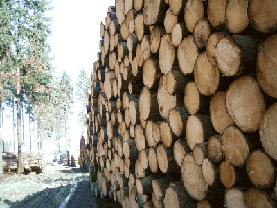Bild 316.jpg