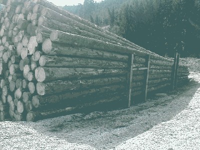 Polter-Böcke.JPG