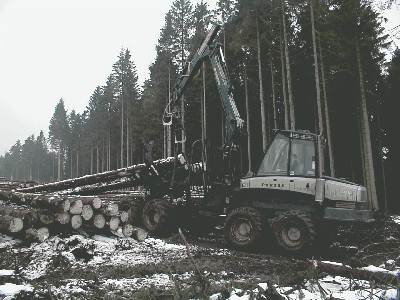 Langholz-Rückezug mit Klemmbank.JPG