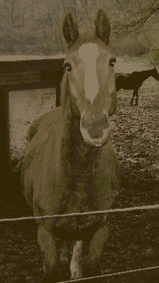 unsere ersten 006.jpg