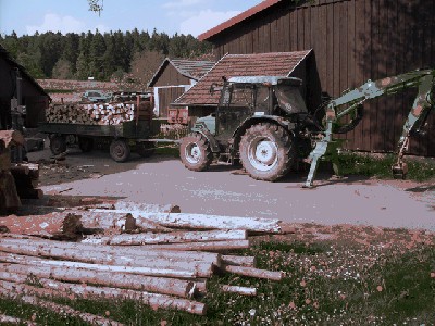 17.JPG