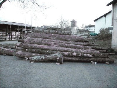 16.JPG