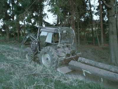 CIMG1984.jpg