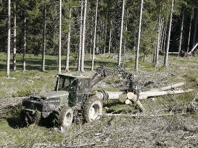CIMG1931.jpg