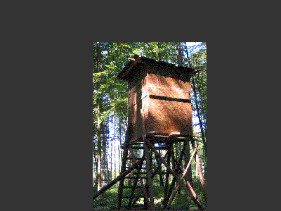 182_8281stand.gif
