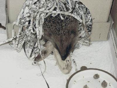 Aufnahmen vom 7.11.04 003.jpg