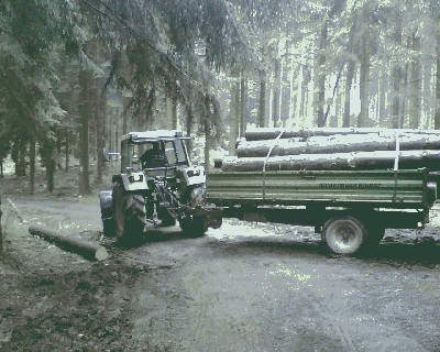 Bild033.jpg