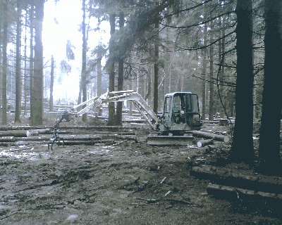 Bild035.jpg